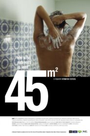 45m² 2011 one on netflix