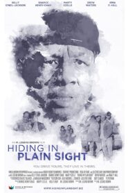 Hiding in Plain Sight 2012 one on netflix