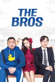 The Bros 2017 one on netflix