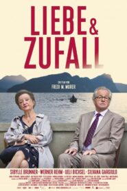 Liebe und Zufall 2014 one on netflix