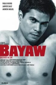 Bayaw 2009 one on netflix