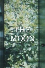 The Moon 1994 one on netflix