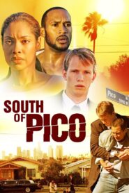 South Of Pico 2007 one on netflix