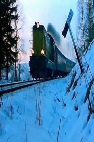 La Treizième Voiture 1993 one on netflix