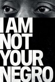 I Am Not Your Negro 2017 one on netflix