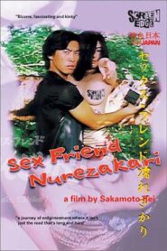 Sex Friend Nurezakari 1999 one on netflix
