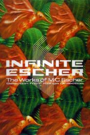 Infinite Escher 1990 one on netflix