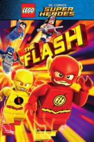 LEGO DC Comics Super Heroes: The Flash 2018 one on netflix