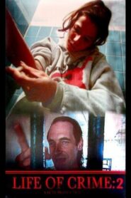 Life of Crime 2 1998 one on netflix