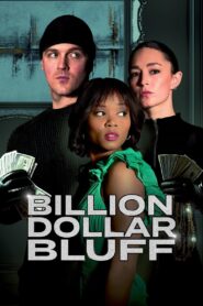 Billion Dollar Bluff 2024 one on netflix