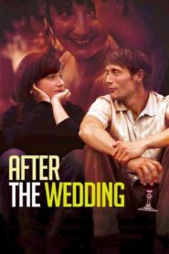 After the Wedding 2006 one on netflix