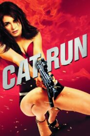 Cat Run 2011 one on netflix