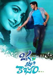 Oka Laila Kosam 2014 one on netflix