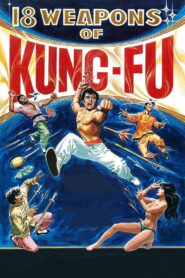 18 Weapons of Kung Fu 1980 one on netflix