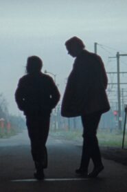 White Goldfish 2020 one on netflix