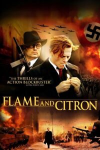 Flame & Citron 2008 one on netflix