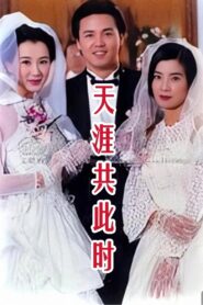 天涯共此时 1996 on Online Series
