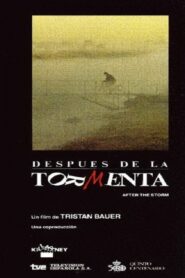 Después de la tormenta 1991 one on netflix