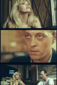 A Woman for Me 1993 one on netflix