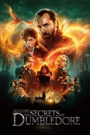 Fantastic Beasts: The Secrets of Dumbledore 2022 one on netflix