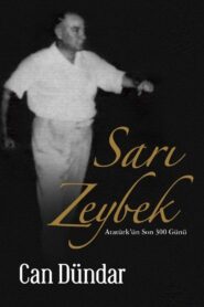 Sarı Zeybek 1993 one on netflix