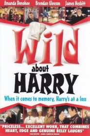 Wild About Harry 2000 one on netflix