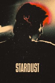 Stardust 2020 one on netflix