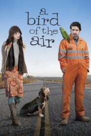 A Bird of the Air 2011 one on netflix