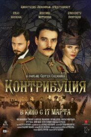 Contribution 2016 one on netflix