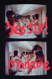 Yes Sir! Madame… 1994 one on netflix