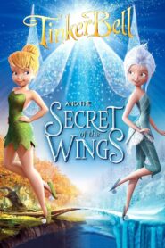 Secret of the Wings 2012 one on netflix