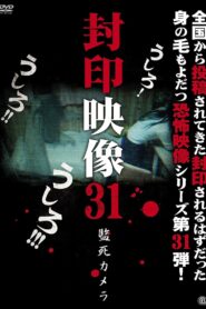 Sealed Video 31: Captive Camera 2017 one on netflix