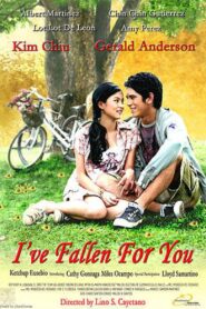 I’ve Fallen for You 2007 one on netflix