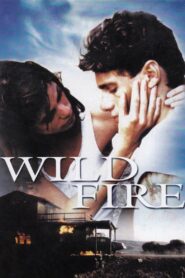 Wildfire 1988 one on netflix