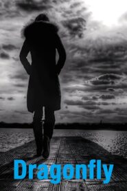 Dragonfly 2014 one on netflix