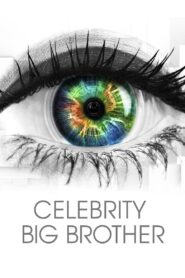 Celebrity Big Brother 2001 on Online Series
