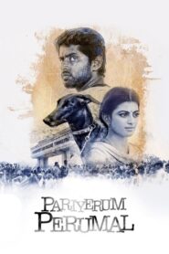 Pariyerum Perumal 2018 one on netflix