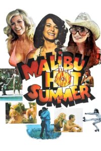 Malibu Hot Summer 1981 one on netflix