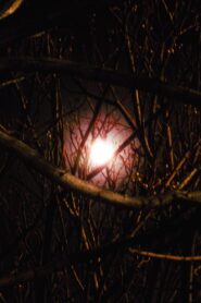 Sad and Empty 2026 one on netflix