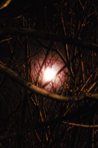 Sad and Empty 2026 one on netflix