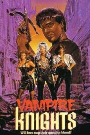 Vampire Knights 1988 one on netflix