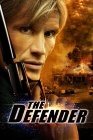 The Defender 2004 one on netflix