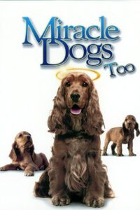 Miracle Dogs Too 2006 one on netflix