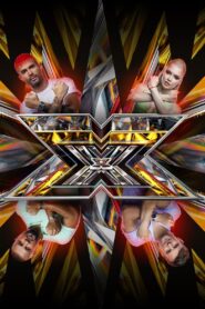 X-Faktor: Temporada 11 {year} one on netflix