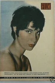 Pourquoi partir? 1996 one on netflix