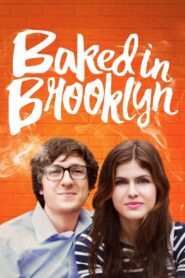 Baked in Brooklyn 2016 one on netflix