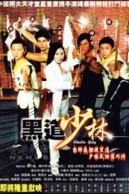 Shaolin Gang 2004 one on netflix