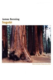 Sogobi 2002 one on netflix