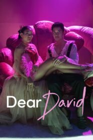 Dear David 2023 one on netflix