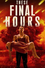 These Final Hours 2014 one on netflix